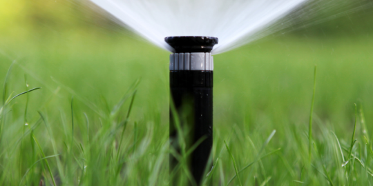 Water Smarter This Summer: 10 Tips to Save Money