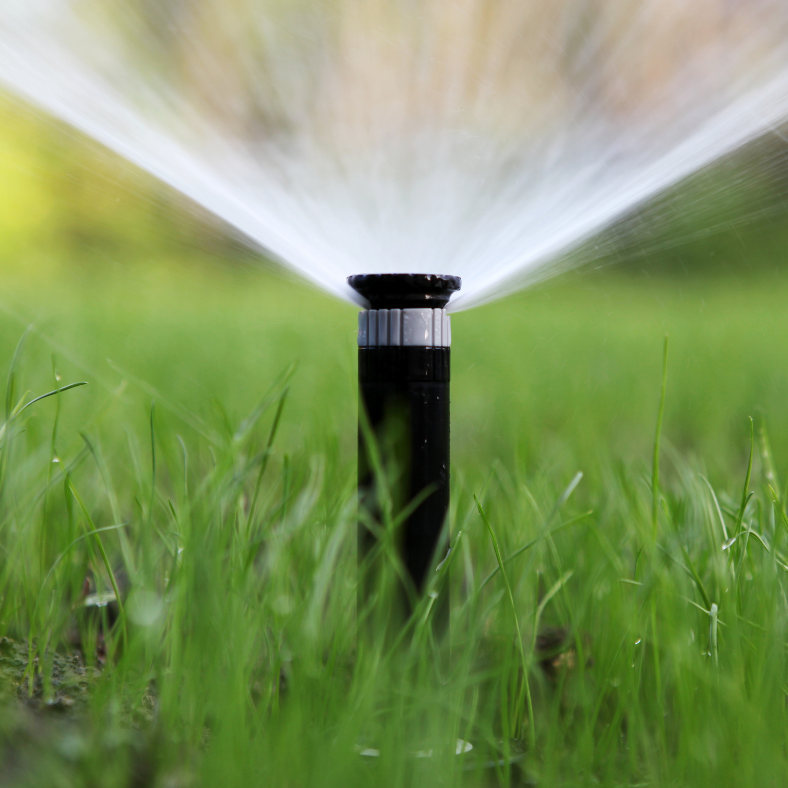 Water Smarter This Summer: 10 Tips to Save Money