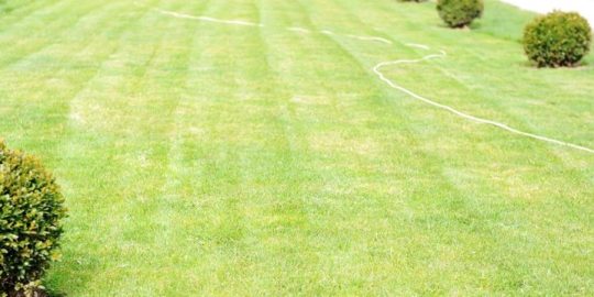 Why Landscaping Is a Better Investment Than You Might Think