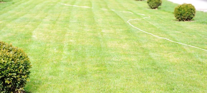 Why Landscaping Is a Better Investment Than You Might Think