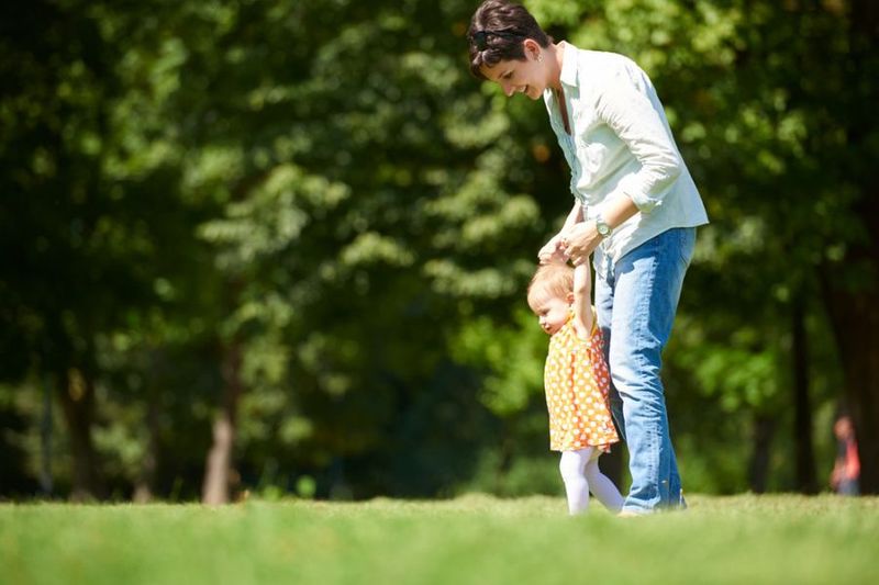 What’s The Best Type Of Grass For Your Lawn?