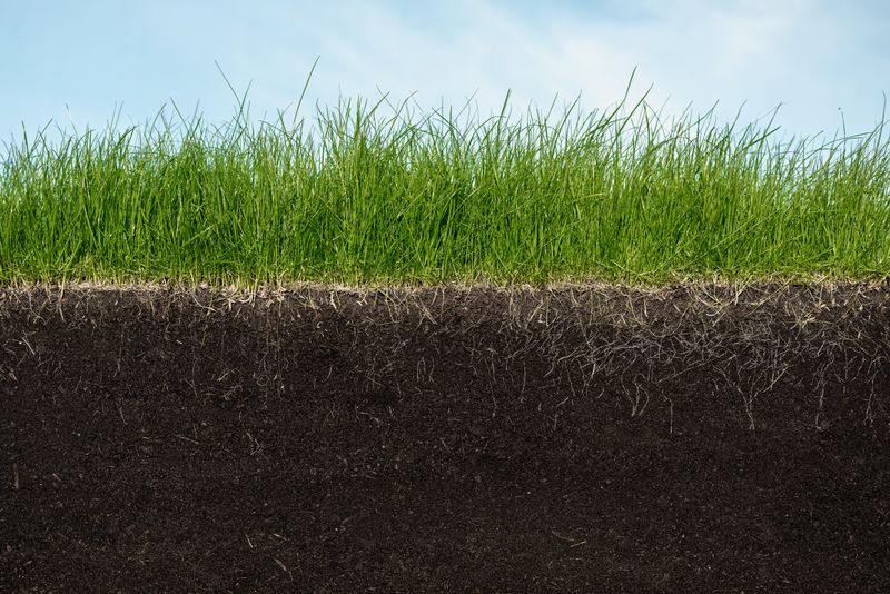 Core Aeration for a Greener Lawn