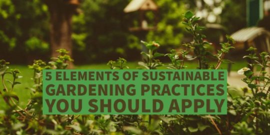 Sustainable Gardening Practices: 4+ Methods To Use (+ tips)