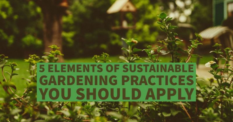 Sustainable Gardening Practices: 4+ Methods To Use (+ tips)