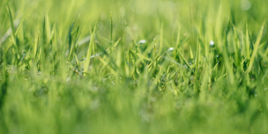Simple Ways to Boost Your Curb Appeal This Spring