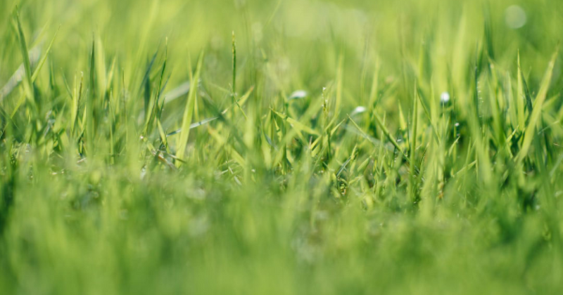 Simple Ways to Boost Your Curb Appeal This Spring