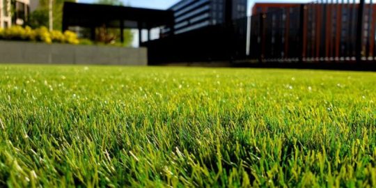 How Beneficial Is Organic Lawn Care?