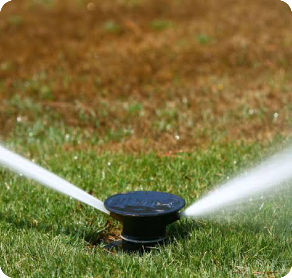 A pop-up sprinkler head spraying across turf