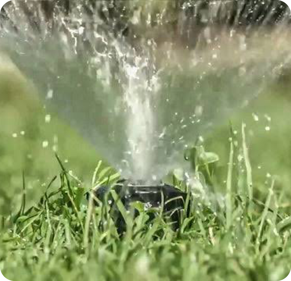 A sprinkler throwing a fine spray over grass