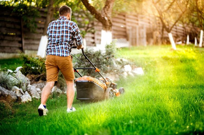 How Often Should You Mow Your Lawn? (Tips From Lawn Experts)