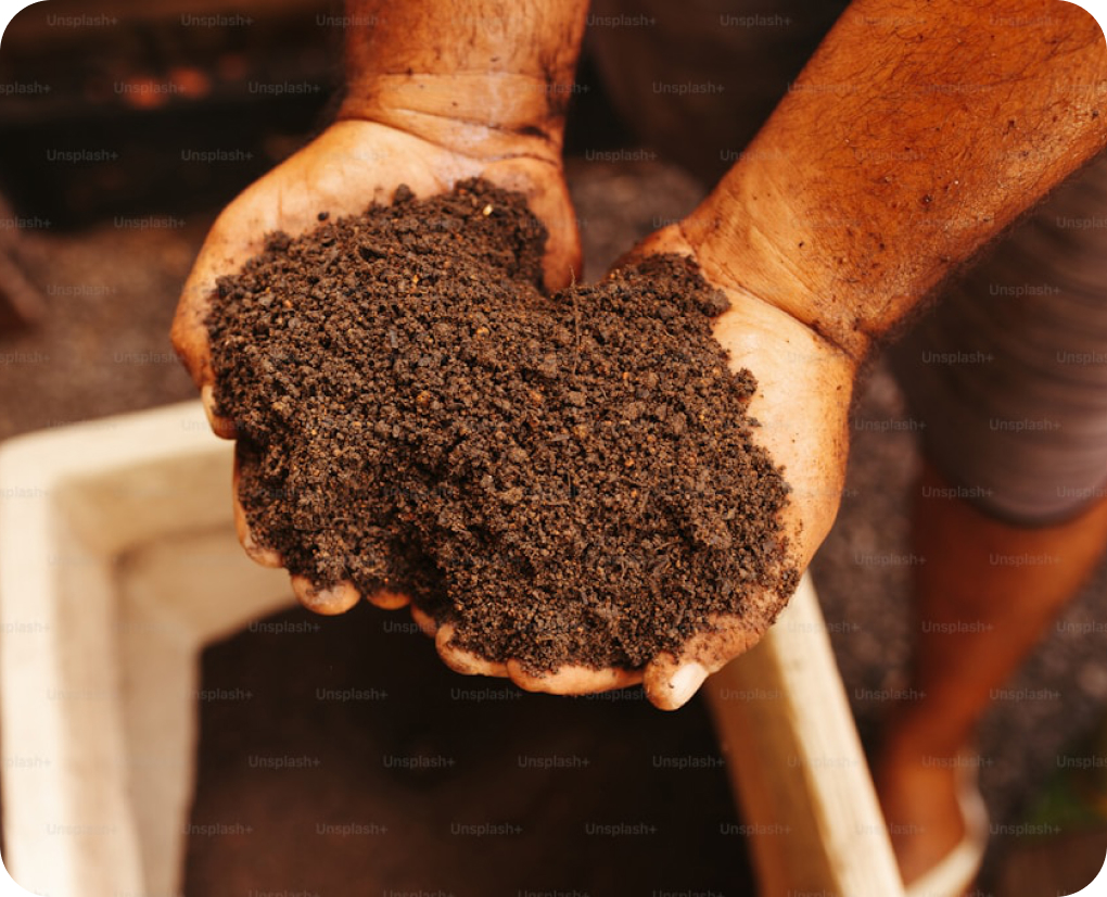 Two gloved hands holding a scoop of dark, crumbly compost