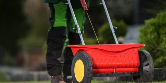 How Much Does Lawn Fertilization Cost?