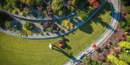 When to Fertilize Lawn in Texas: The Seasonal Guide