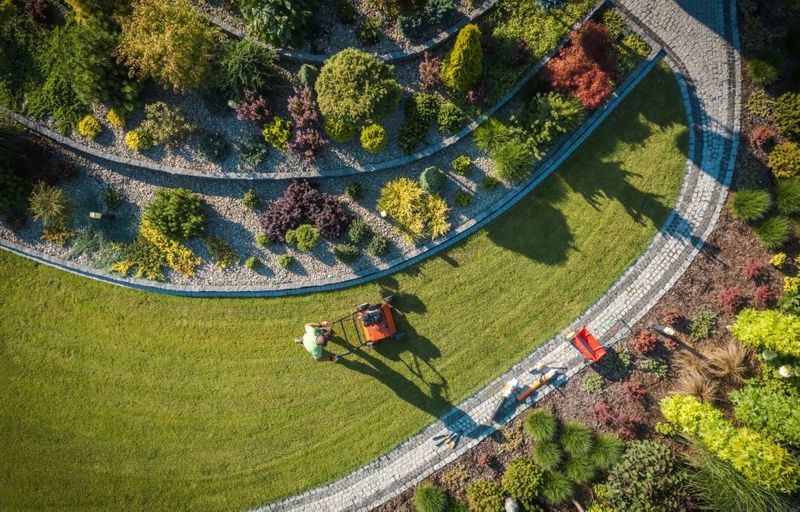 When to Fertilize Lawn in Texas: The Seasonal Guide