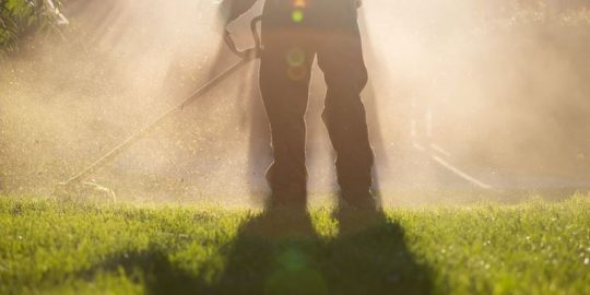 How to Care For Lawn During Drought (Advice from lawn experts)