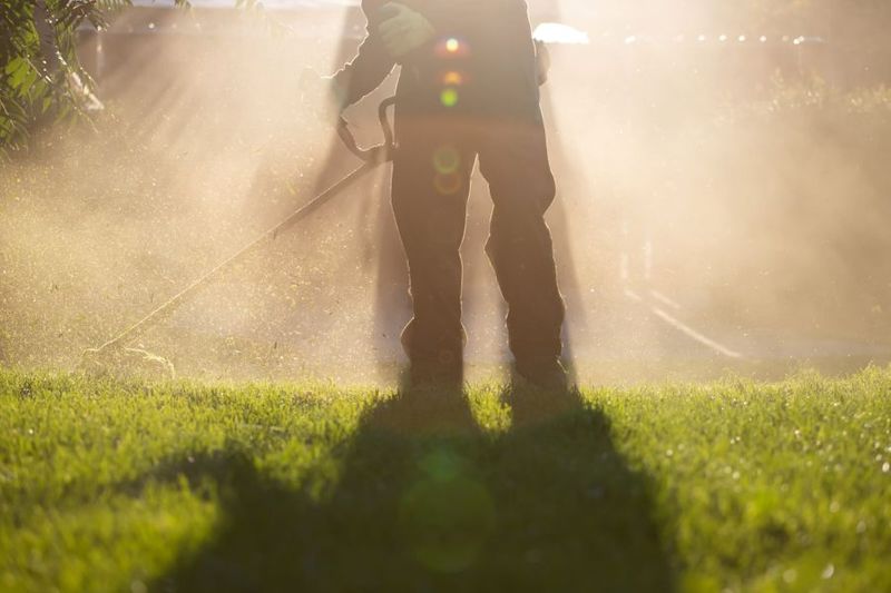 How to Care For Lawn During Drought (Advice from lawn experts)