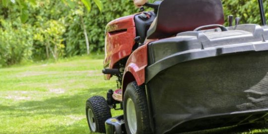 Natural Fertilizer- A Few Things You Should Know