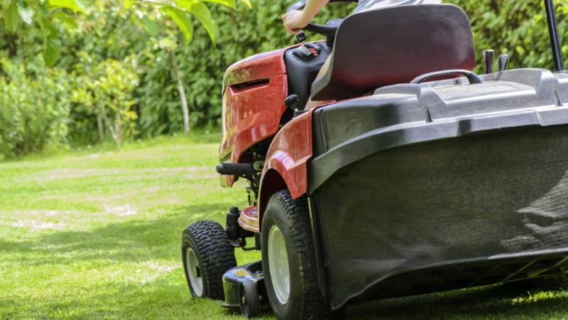 Natural Fertilizer- A Few Things You Should Know