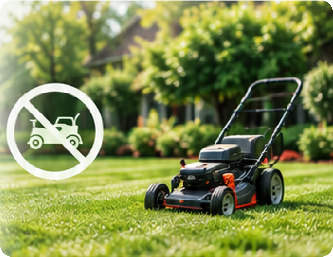 A lawn mower on a green lawn behind a crossed-out circle