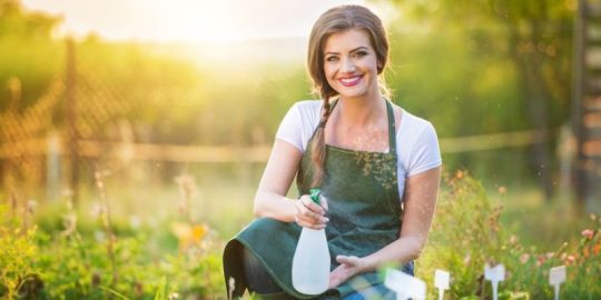 What Your Lawn Says About You as a Homeowner
