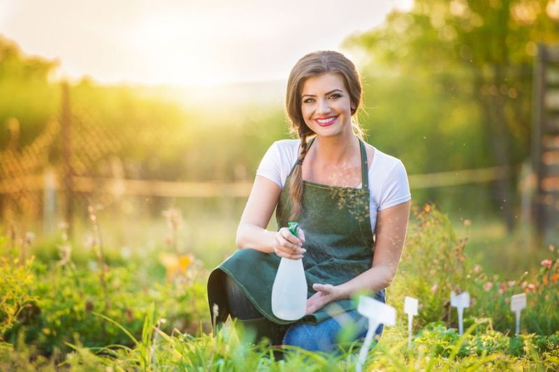 What Your Lawn Says About You as a Homeowner