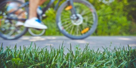 You Need to Complete These Lawn Maintenance Tasks Before Fall Ends