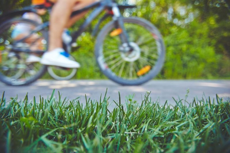 You Need to Complete These Lawn Maintenance Tasks Before Fall Ends