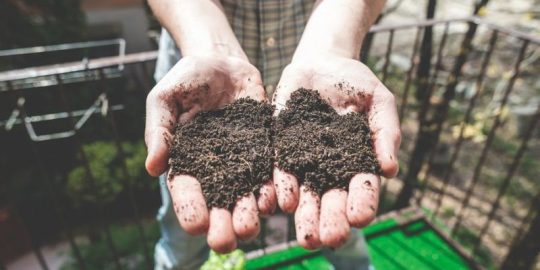 Understanding Different Kinds Of Ingredients In Organic Fertilizers