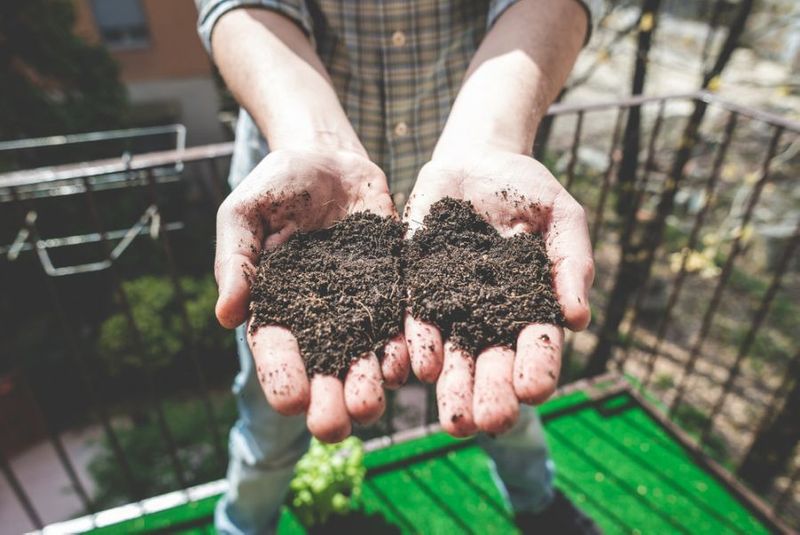 Understanding Different Kinds Of Ingredients In Organic Fertilizers