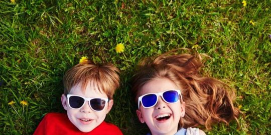 Understanding How Organic Lawn Fertilizer Can Help Your Lawn