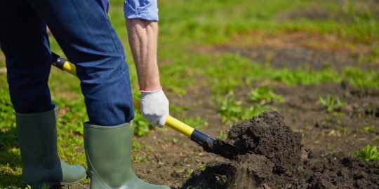 3 Common Organic Fertilizer Mistakes