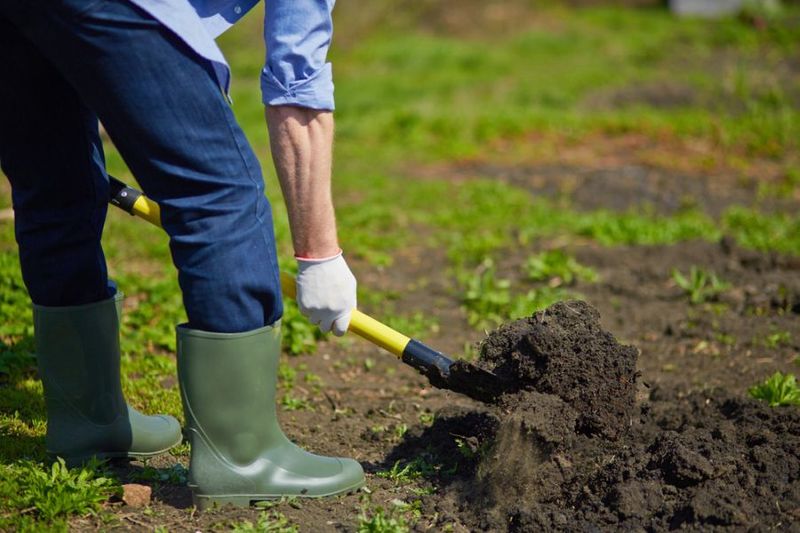 3 Common Organic Fertilizer Mistakes