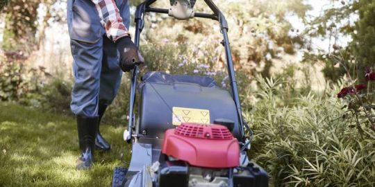What Does Organic Mean When it Comes to Lawn Care Products?