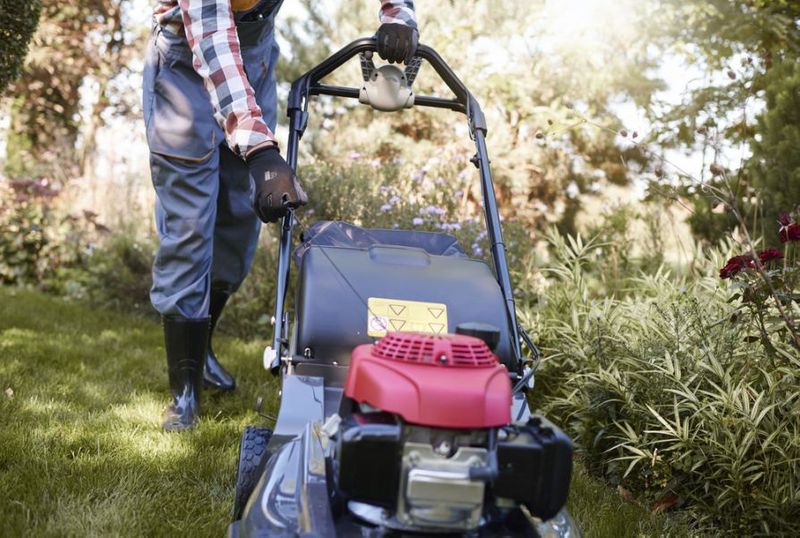What Does Organic Mean When it Comes to Lawn Care Products?