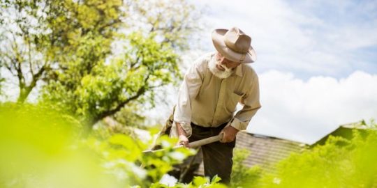 3 Benefits Of Lawn Care You Never Knew