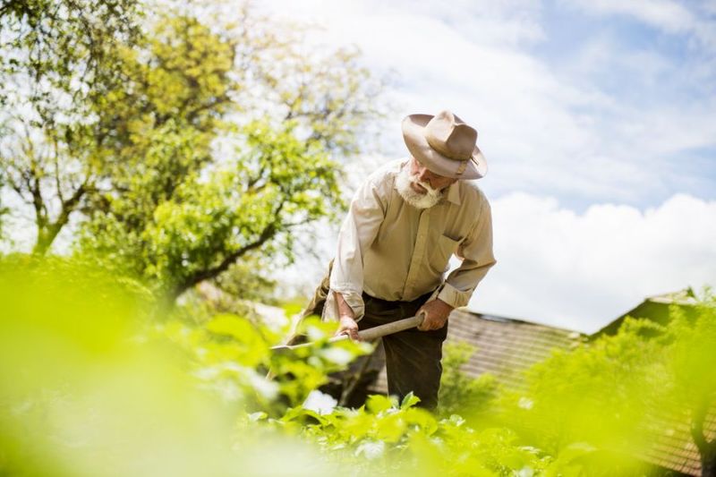 3 Benefits Of Lawn Care You Never Knew