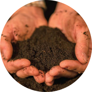 Healthier Soil