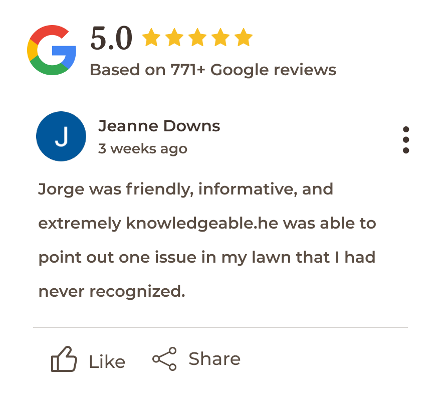 A five-star Google review of Soils Alive left by Jeanne Downs