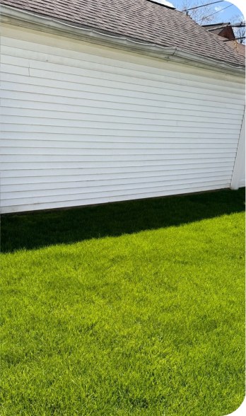 A dense, evenly green lawn running up to the same white clapboard house