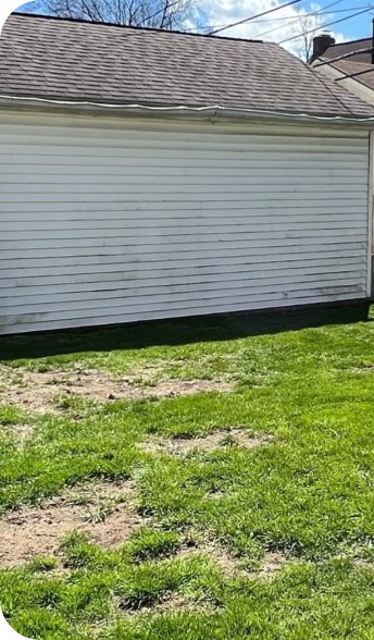 Thin grass with bare soil showing through, beside a white clapboard house
