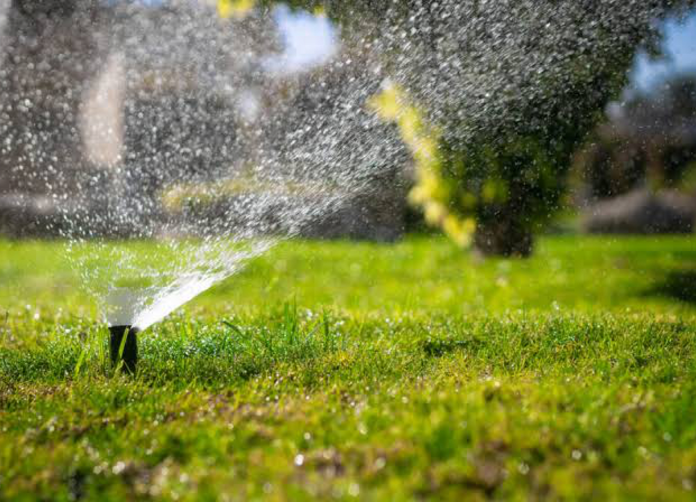 A lawn sprinkler throwing water across grass in bright sunlight