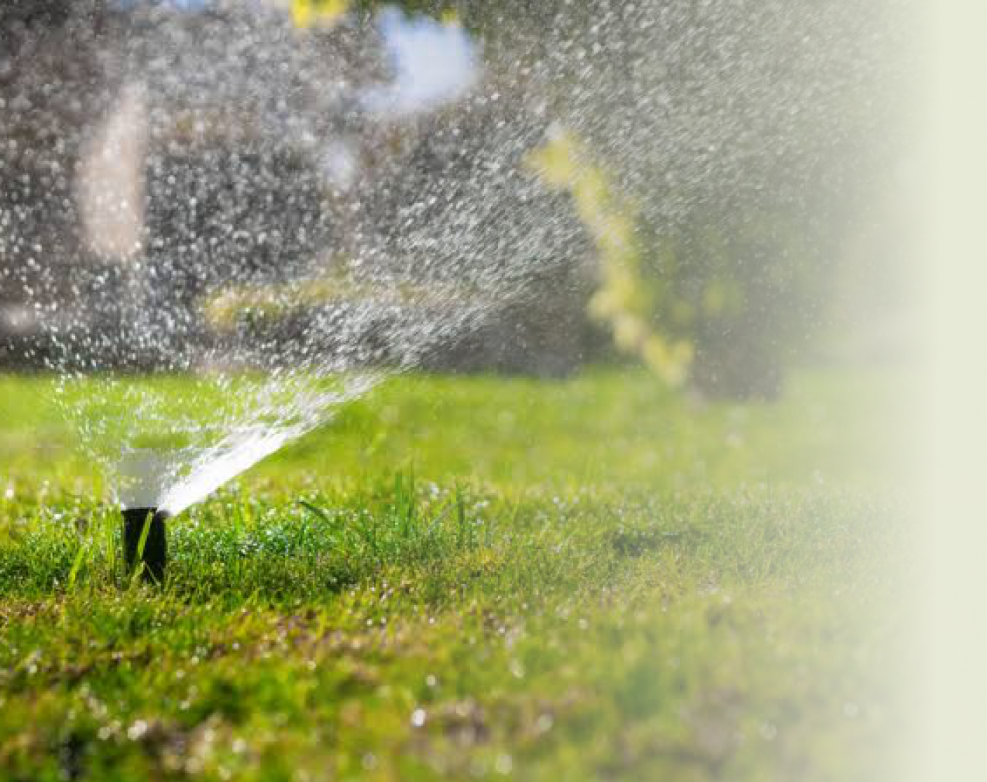A sprinkler running across a green lawn on a bright day