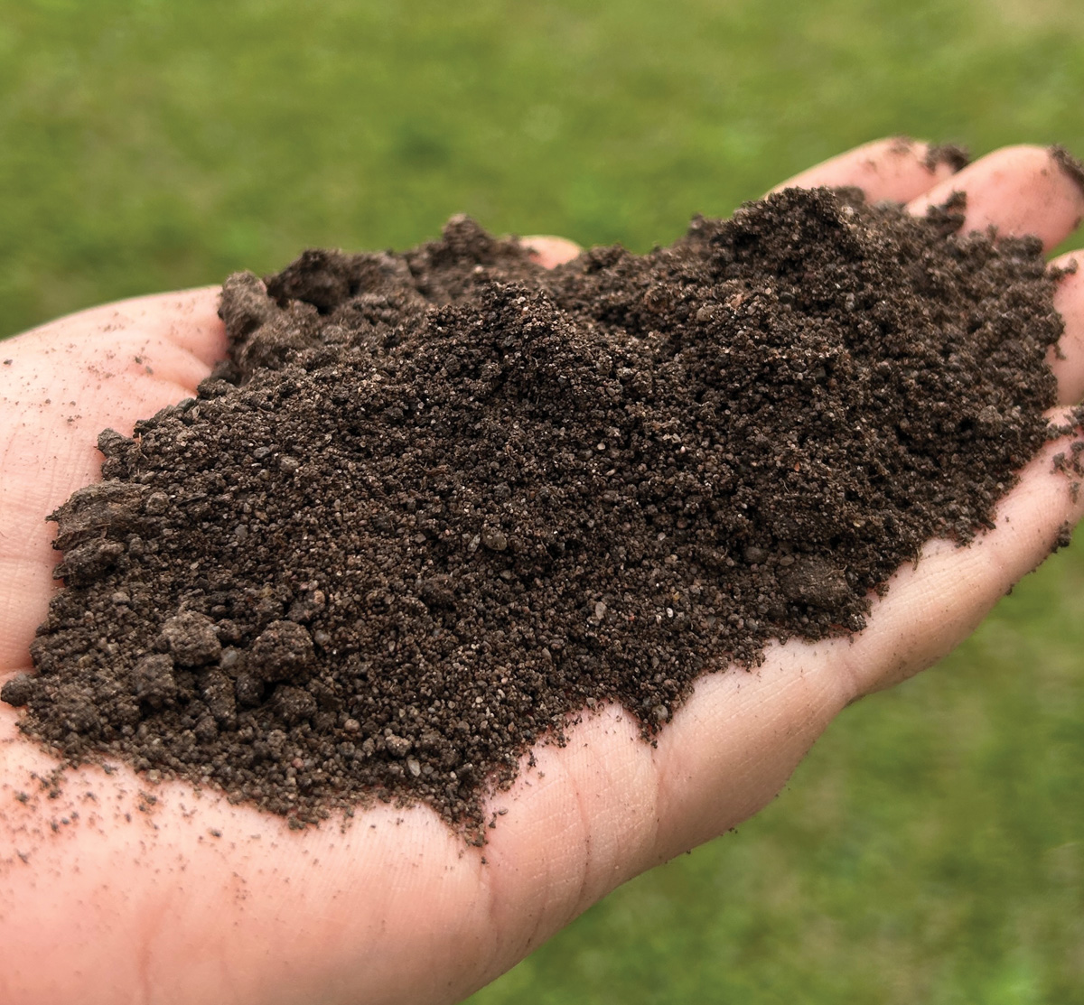 Healthy Soil