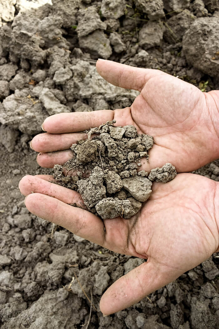 Compacted Soil